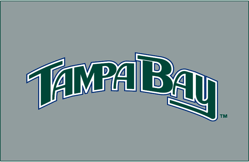 Tampa Bay Devil Rays 2005-2007 Jersey Logo DIY iron on transfer (heat transfer)